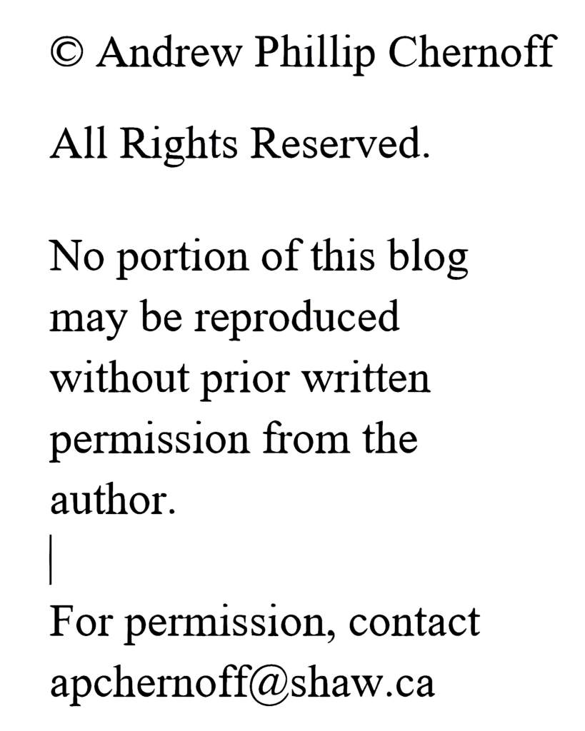 Copyright notice and copyright status of a blog by Andrew Phillip Chernoff.